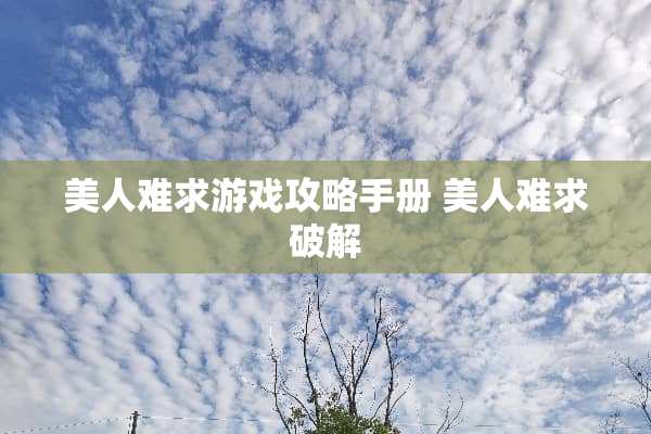 美人难求游戏攻略手册 美人难求**