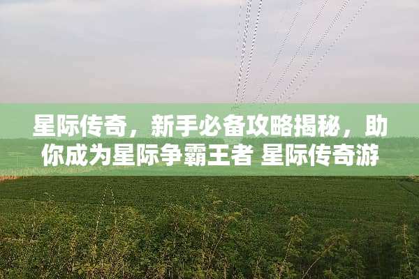 星际传奇，新手必备攻略揭秘，助你成为星际争**者 星际传奇游戏攻略