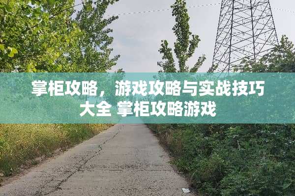 掌柜攻略，游戏攻略与实战技巧大全 掌柜攻略游戏