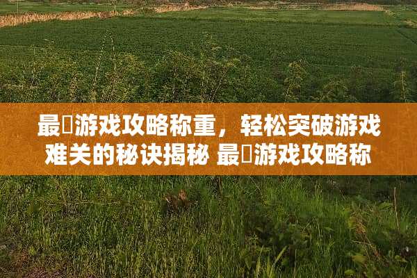 最囧游戏攻略称重，轻松突破游戏难关的秘诀揭秘 最囧游戏攻略称重