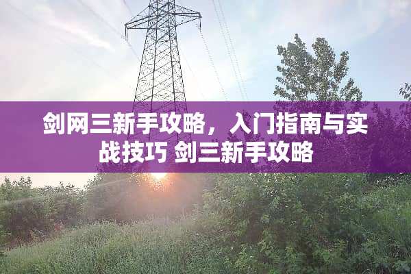 剑网三新手攻略，入门指南与实战技巧 剑三新手攻略
