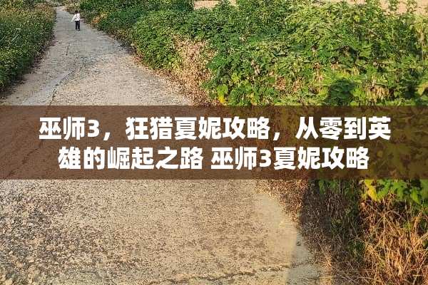 巫师3，狂猎夏妮攻略，从零到英雄的崛起之路 巫师3夏妮攻略