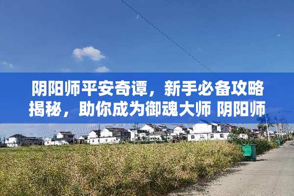 *阳师平安奇谭，新手必备攻略揭秘，助你成为御魂大师 *阳师平安奇谭攻略