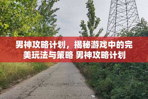 男神攻略计划，揭秘游戏中的完美玩法与策略 男神攻略计划