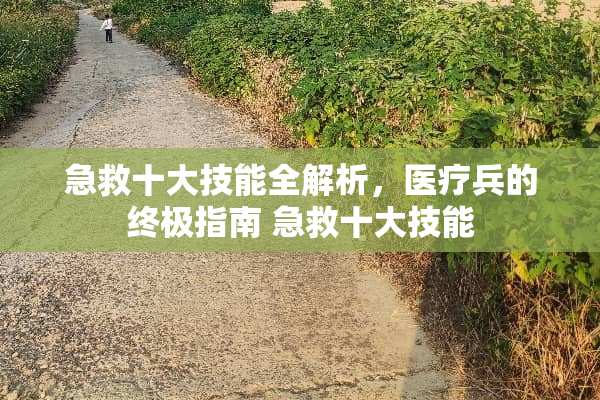 急救十大技能全解析，医疗兵的终极指南 急救十大技能