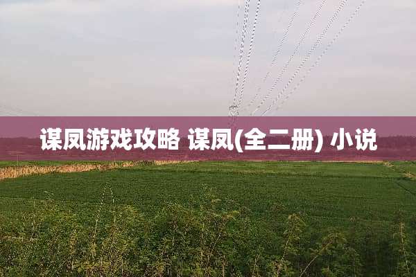 谋凤游戏攻略 谋凤(全二册) 小说