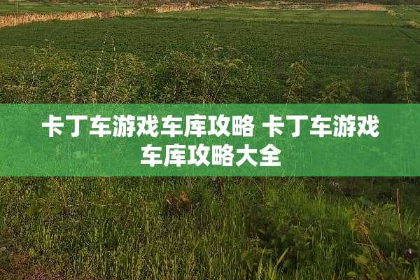 卡丁车游戏车库攻略 卡丁车游戏车库攻略大全