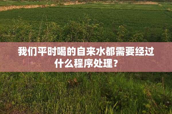 我们平时喝的自来水都需要经过什么程序处理？