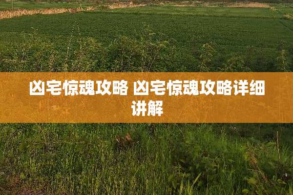 凶宅惊魂攻略 凶宅惊魂攻略详细讲解
