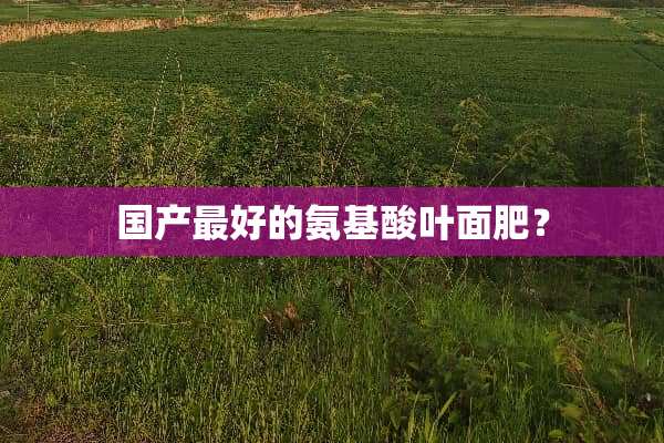 国产最好的氨基酸叶面肥？