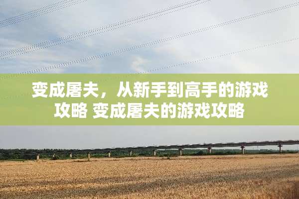 变成屠夫，从新手到高手的游戏攻略 变成屠夫的游戏攻略