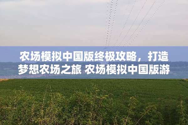 农场模拟中国版终极攻略，打造梦想农场之旅 农场模拟中国版游戏攻略