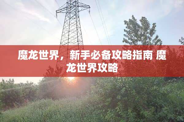 魔龙世界，新手必备攻略指南 魔龙世界攻略