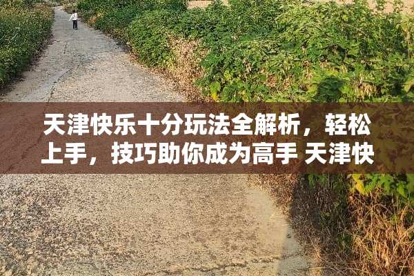 天津快乐十分玩法全解析，轻松上手，技巧助你成为高手 天津快乐十分玩法