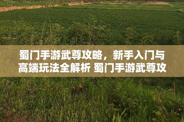 蜀门手游武尊攻略，新手入门与高端玩法全解析 蜀门手游武尊攻略