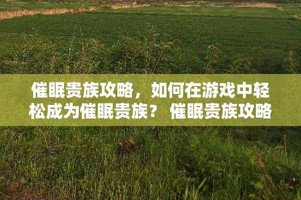 **贵族攻略，如何在游戏中轻松成为**贵族？ **贵族攻略