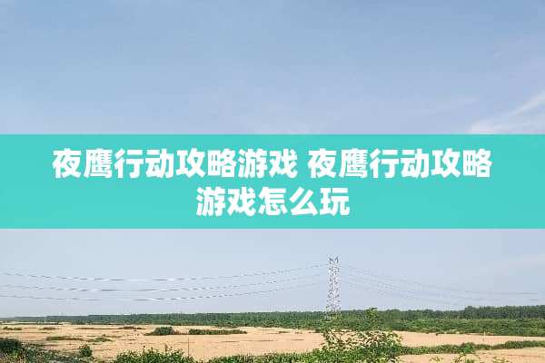 夜鹰行动攻略游戏 夜鹰行动攻略游戏怎么玩