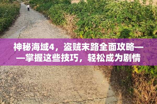 神秘海域4，盗贼末路全面攻略——掌握这些技巧，轻松成为剧情王者 攻略男的游戏