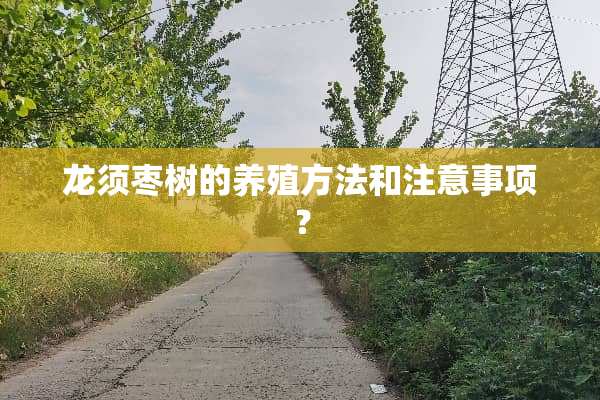 龙须枣树的养殖方法和注意事项？