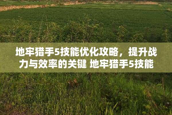 地牢猎手5技能优化攻略，提升战力与效率的关键 地牢猎手5技能