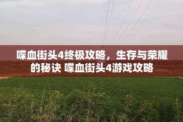 喋血街头4终极攻略，生存与荣耀的秘诀 喋血街头4游戏攻略