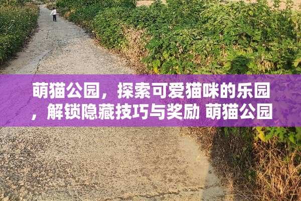 萌猫公园，探索可爱猫咪的乐园，解锁隐藏技巧与奖励 萌猫公园攻略游戏
