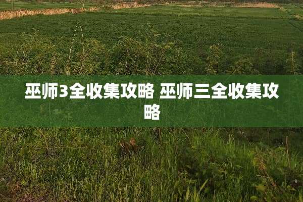 巫师3全收集攻略 巫师三全收集攻略
