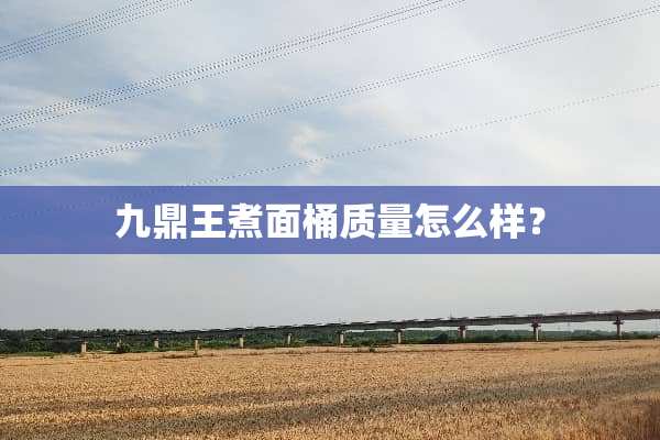 九鼎王煮面桶质量怎么样？