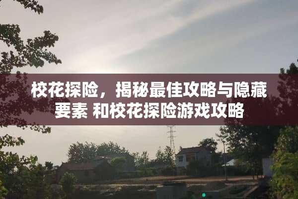 校花探险，揭秘最佳攻略与隐藏要素 和校花探险游戏攻略