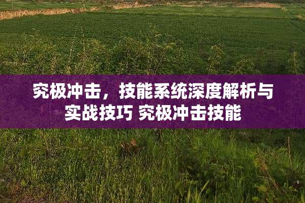 究极冲击，技能系统深度解析与实战技巧 究极冲击技能