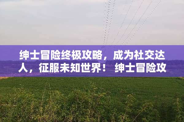 绅士冒险终极攻略，成为社交达人，征服未知世界！ 绅士冒险攻略