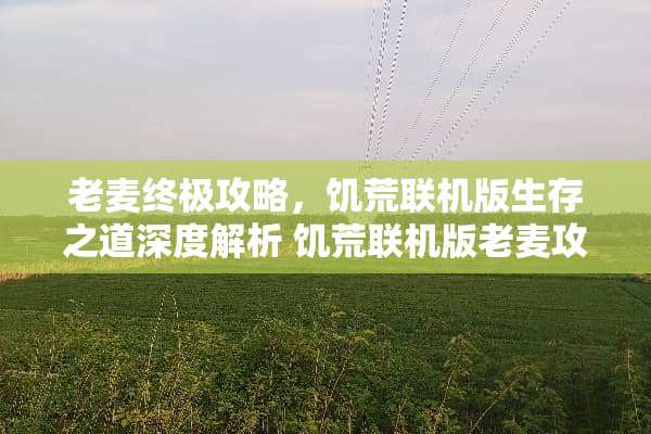 老麦终极攻略，饥荒联机版生存之道深度解析 饥荒联机版老麦攻略