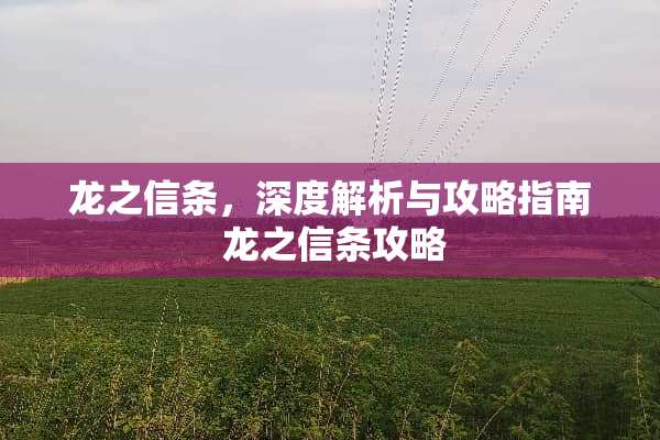 龙之信条，深度解析与攻略指南 龙之信条攻略