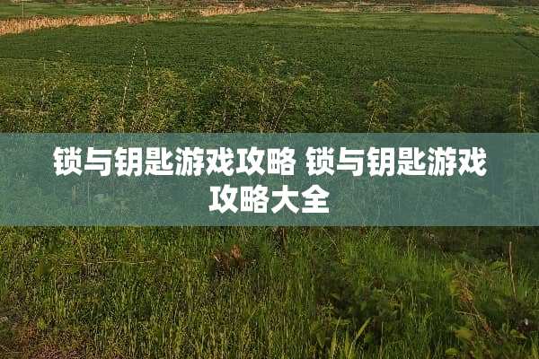 锁与钥匙游戏攻略 锁与钥匙游戏攻略大全
