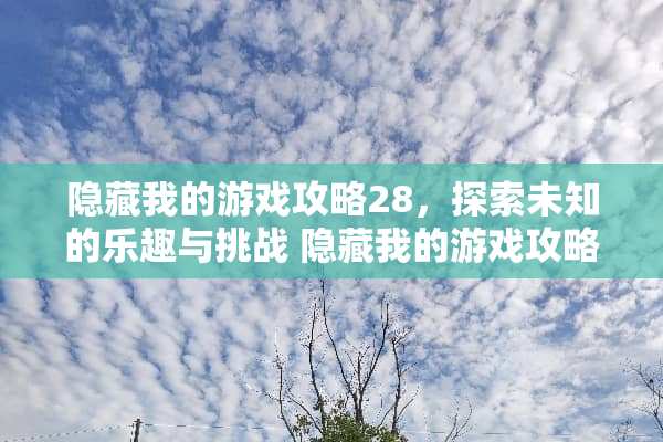 隐藏我的游戏攻略28，探索未知的乐趣与挑战 隐藏我的游戏攻略28