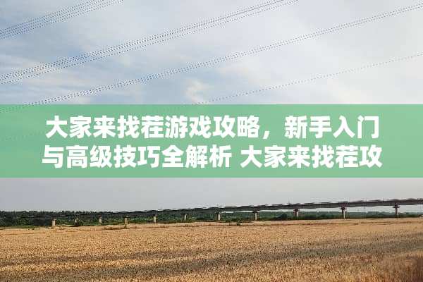 大家来找茬游戏攻略，新手入门与高级技巧全解析 大家来找茬攻略