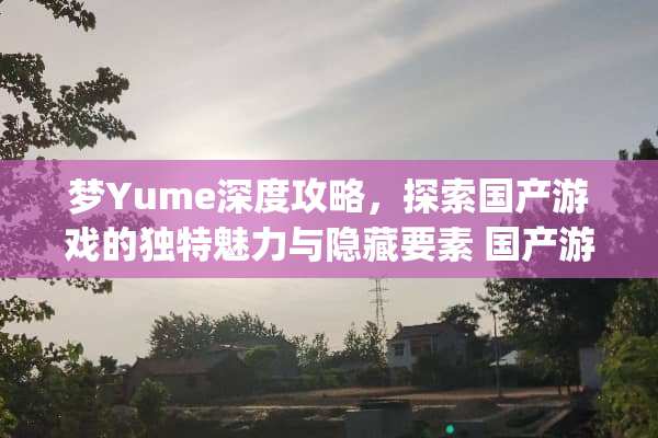 梦Yume深度攻略，探索国产游戏的独特魅力与隐藏要素 国产游戏梦yume攻略