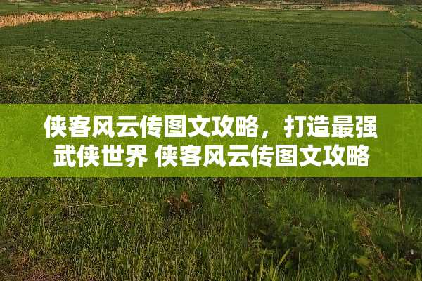 侠客风云传图文攻略，打造最强武侠世界 侠客风云传图文攻略