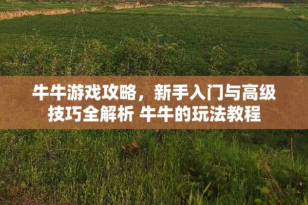 **游戏攻略，新手入门与高级技巧全解析 **的玩法教程