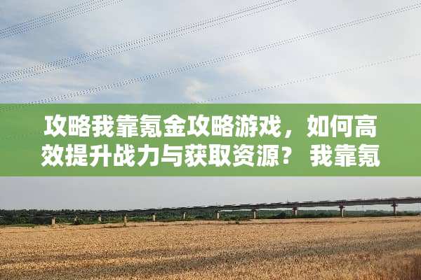 攻略**氪金攻略游戏，如何高效提升战力与获取资源？ **氪金攻略游戏
