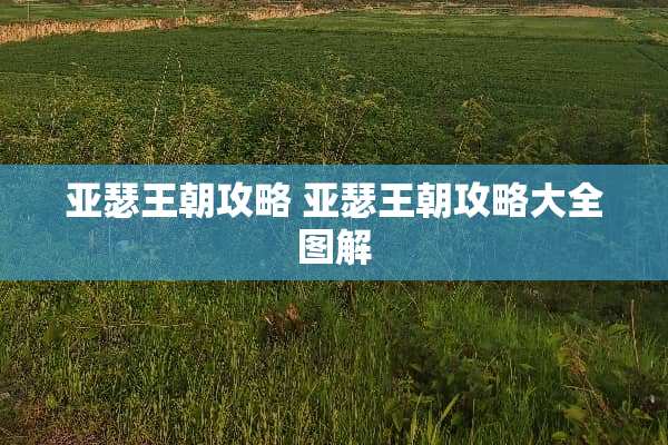 亚瑟王朝攻略 亚瑟王朝攻略大全图解