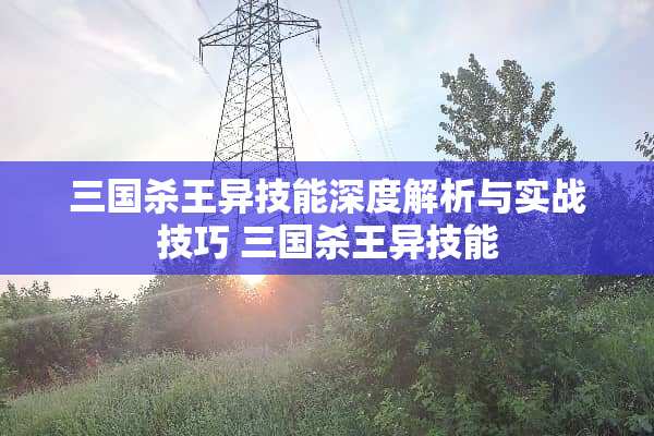 三国杀王异技能深度解析与实战技巧 三国杀王异技能