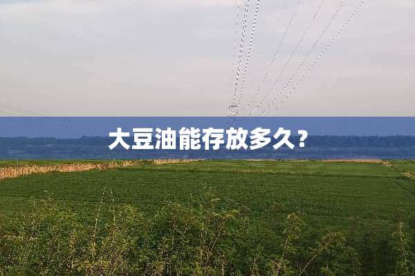 大豆油能存放多久？