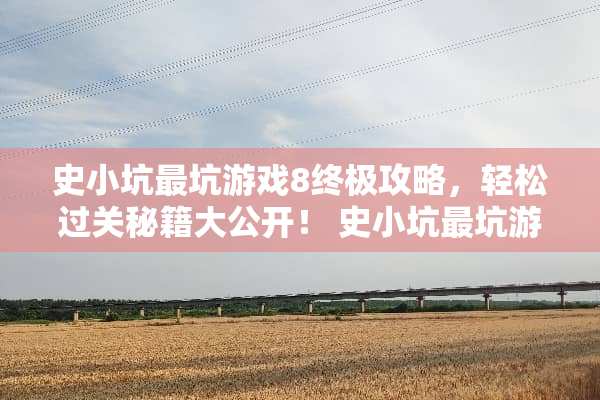 史小坑最坑游戏8终极攻略，轻松过关秘籍大公开！ 史小坑最坑游戏8攻略