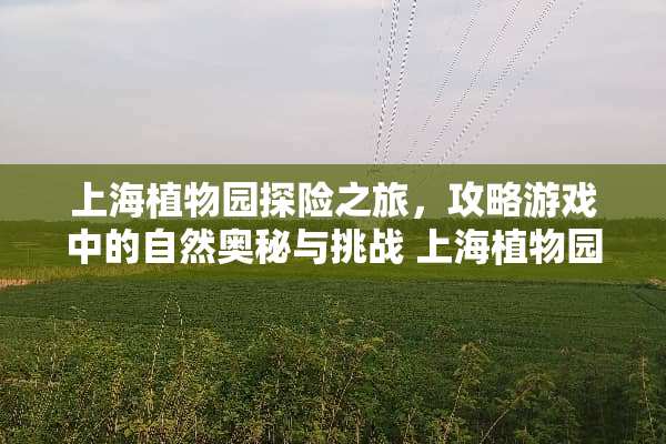 上海植物园探险之旅，攻略游戏中的自然奥秘与挑战 上海植物园攻略游戏