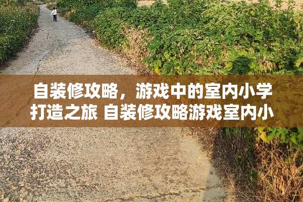 自装修攻略，游戏中的室内小学打造之旅 自装修攻略游戏室内小学