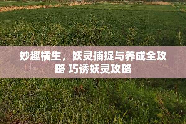 妙趣横生，妖灵捕捉与养成全攻略 巧诱妖灵攻略