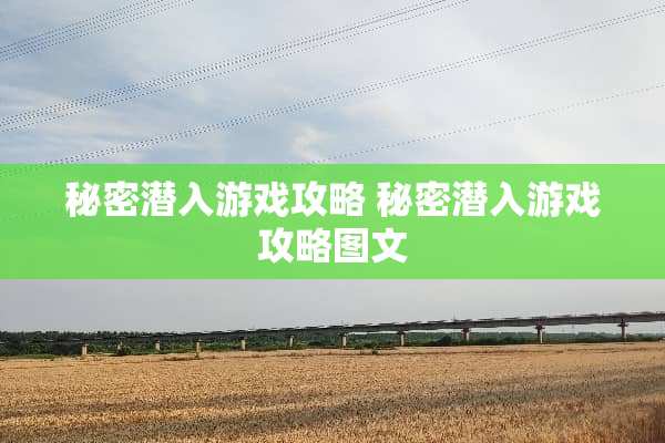 秘密潜入游戏攻略 秘密潜入游戏攻略图文