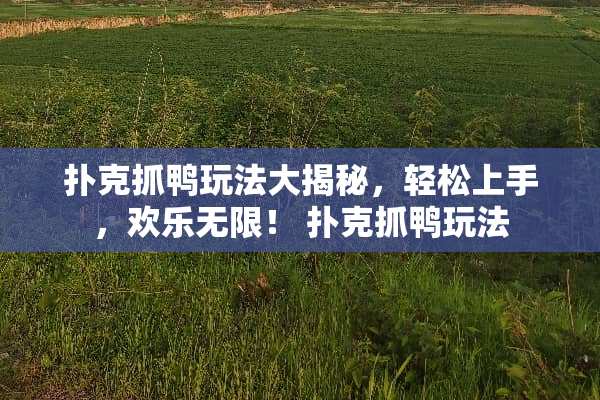 **抓鸭玩法大揭秘，轻松上手，欢乐无限！ **抓鸭玩法
