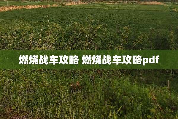 燃烧战车攻略 燃烧战车攻略pdf